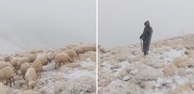 Mevsimler de şaşırdı: Tunceli’de yaylaya mevsimin ilk karı düştü
