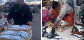Karadeniz bereketi tezgaha vurdu Palamut 50 liraya kadar düştü