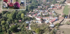 Osmanlı mutfağının vazgeçilmez meyvesi üryani eriğinin hasadı başladı