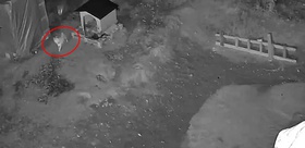 Kamera kaydını izleyen Sivaslı vatandaşı dehşete düşüren görüntü