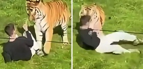 Hayvanat bahçesinde Bengal kaplanının bulunduğu alana girdi, hayatını kaybetti
