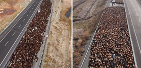 Görüntü Türkiye’den İki şeritli yolu kapattılar, onlarca araç geçiş için bekledi