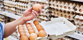 Ukrayna’dan gelen yumurtalarda salmonella alarmı Raflardan toplatılıyor