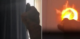 Şanlıurfa’da polisle çatışan firari şüpheli intihar etti