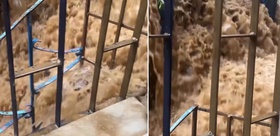 Pencereyi açıp dışarı bakınca kabusu yaşadı