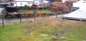 Türkiye’nin diğer ucundan güpegündüz dehşete düşüren görüntü