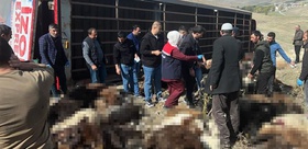 Kışlak yolculuğu faciayla bitti Tüm serveti yok oldu