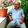 Muzaffer Çakas