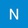 Nur Bilgin