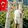 Necmettin Kocatürk