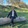 Ahmet aydın