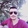 Murat Bugra