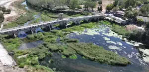 Edirne’de kuraklık alarmı Tunca Nehri’ni otlar kapladı