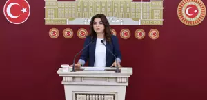 DEM Parti Irak, Suriye ve Lübnan tezkelerine ’Hayır’ oyu verecek
