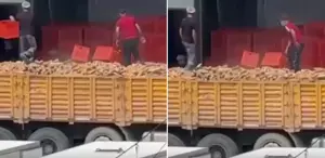 Belediyeye ait fırında infial yaratan görüntü