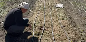 İşsiz kalınca ekti, hayatı değişti Kilosunu 200-300 bin TL’ye satıyor