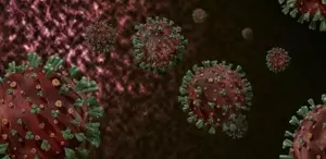 DSÖ’den M çiçeği uyarısı: Kıtayı aştı, hızla kontrol altına alınmalı