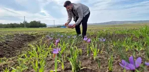 O ilimiz resmen şaha kalkacak Fiyatını duyanlar ’’yok artık’’ diyor