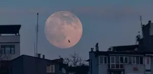 Van’da çekildi, herkes bu kareyi paylaşıyor