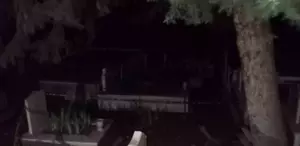 Ünlü iş insanı mezarlıkta asılı halde ölü bulundu