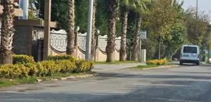 Sapanca’da villada gizemli ölüm İki genç hareketsiz bulundu