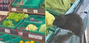 3 harfli market zincirinde skandal görüntü