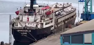 Utanç tablosu Türkiye’den İnekler susuzluktan boruları yaladı