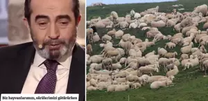 Şehit mezarının yeri, koyun sürüsünün garip davranışıyla fark edildi: O alanı kazınca...