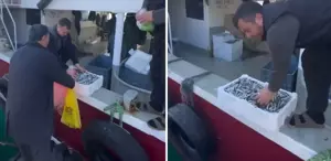 Kasalar dolusu balığı bedava dağıttılar Nedeni de bir o kadar ilginç