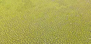 İstanbul için kıyamet senaryosu: Bu şekilde yaza girersek felaket olur