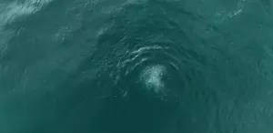 Sapanca Gölü fay hattı boyunca fokur fokur kanıyor Prof. Dr. Üşümezsoy “Asıl tehlike“ diyerek uyarmıştı