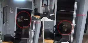 Alman vatandaşı, kendisine yardım eden Türk vatandaşını böyle katletti