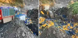 Sınır kapısında zirai ilaç kalıntısı bulunan 6 ton mandalina imha edildi