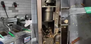 Zehirlenme skandallarının ardından ünlü restoran zincirlerinden mide bulandıran görüntüler