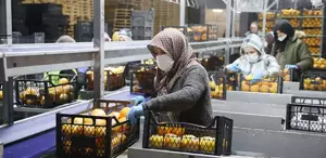 25 ülkeye ihracat yapıyordu Türkiye’nin gıda devi iflasın eşiğinde