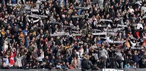 112 yıllık koca çınarın 6 puanı silinecek