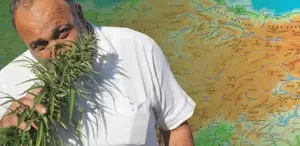 Karar Resmi Gazete’de: 21 ilde kenevir üretimine onay çıktı