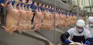 Ramazan öncesi fahiş zam bakanlığı harekete geçirdi Tavuk ürünlerinin ihracatı durduruldu