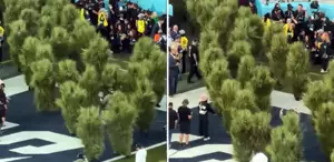 Super Bowl finaline damga vuran görüntü