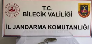 Bilecik’te jandarma operasyonunda nesli tükenme tehlikesindeki piton ele geçirildi