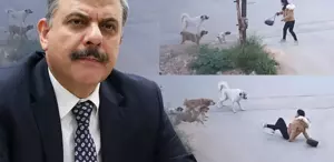 Yeni İçişleri Bakanı Mustafa Çiftçi’nin sokak köpekleri konusunda tavrı net