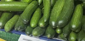 Bu nasıl bir kar marjı 129 TL’ye satılan salatalığın alış fiyatı isyan ettirdi