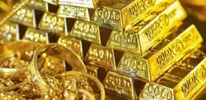 Yıllardır biriktirdiği 20 külçe altını yanlışlıkla çöpe attı