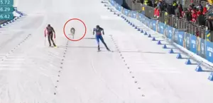 Dev organizasyonun önüne geçen görüntü