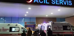 “İstanbul’da kuduz vakalarında patlama“ iddialarına valilikten yanıt