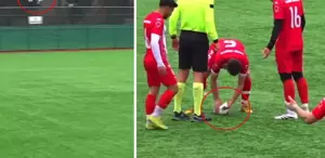 Sahalarda eşi benzeri görülmemiş olay Top çarpan hayvanı kalp masajıyla hayata döndürdü