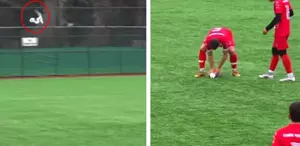 Maç sırasında top çarpan martıdan acı haber