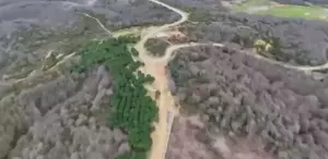 Çalışanını elektrikli testereyle ağır yaralayan çiftlik sahibi ormanlık alanda yakalandı