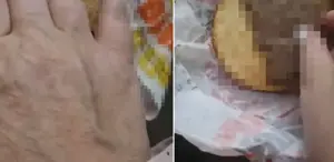 Hamburger siparişi veren vatandaş, paketi açınca kabusu yaşadı