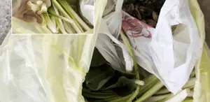 Pazardan aldı, zehir çıktı Ağzına bir lokma alan doktor fenalaştı